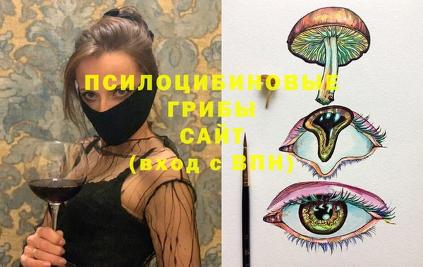 ПСИЛОЦИБИНОВЫЕ ГРИБЫ Абинск