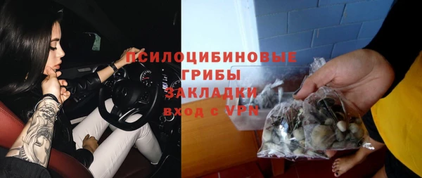 ПСИЛОЦИБИНОВЫЕ ГРИБЫ Абинск