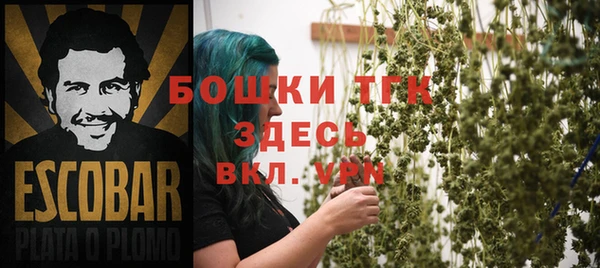 молекула духа Нефтекумск