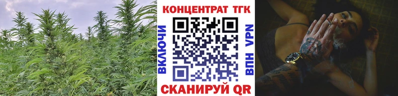 ТГК концентрат  мега ONION  Альметьевск 