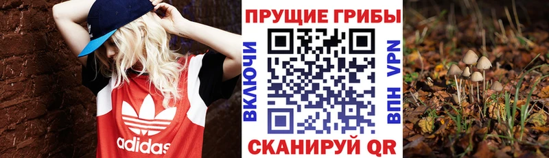 Псилоцибиновые грибы Magic Shrooms  закладки  Альметьевск 